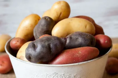 Картофель – характеристика корма