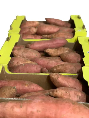 Батат ( Сладкий картофель ) 0.57 kg – Produktu piegāde
