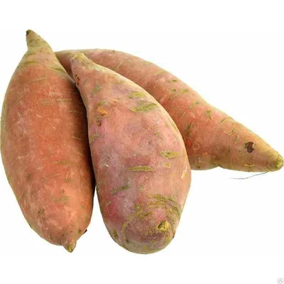Выращивание и посадка батата - Agro-Market24