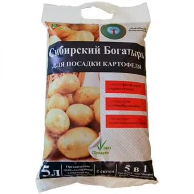 Картофель Сынок, он же Богатырь: описание сорта и советы по выращиванию |  Идеальный огород | Дзен