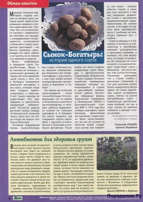 Картофель вареный 500г купить c доставкой на дом в интернет-магазине  КуулКлевер