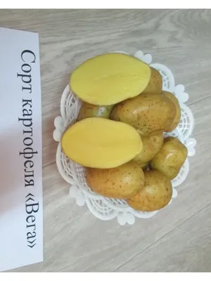 Картофель красный