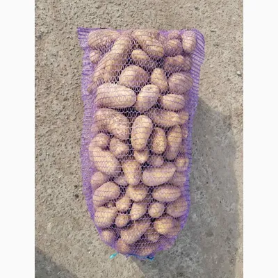 Продам товарну картопля, купити товарну картопля — Agro-Ukraine