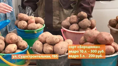 Сравниваем цены и качество картошки на рынке и в супермаркете - YouTube