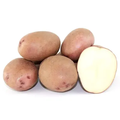 Семенной картофель из Немешаево купить в Украине | Веснодар
