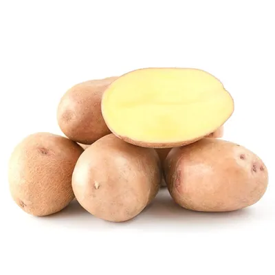 Семенной картофель из Немешаево купить в Украине | Веснодар