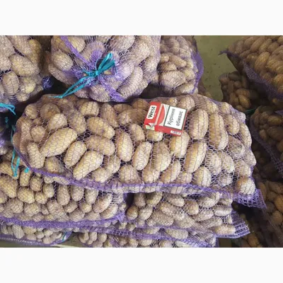 Продам Картофель, Бородянка, Картофель (картошка) — APKUA