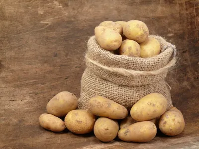 Продам бюджетный картофель, купить бюджетный картофель — Agro-Ukraine