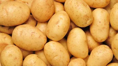 Продажа - Картофель Средний Сорт Бриз