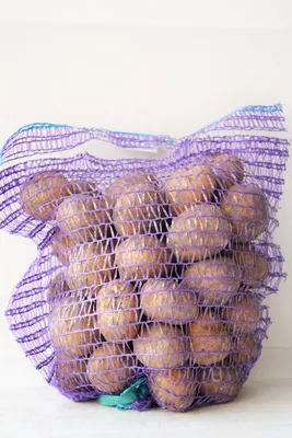 Семенной картофель из Беларуси. Картофель Вектор — Agro-Tajikistan