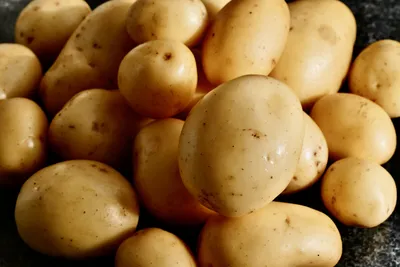 Пора сажать картошку! За семенами — только в магазин «Насенне» — Вечерний  Гродно