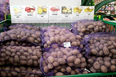 Продаю картофель привозной сорт бриз и бело роса — Agro-Ukraine