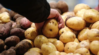 Запеченный картофель с салом: рецепт от Евгения Клопотенко