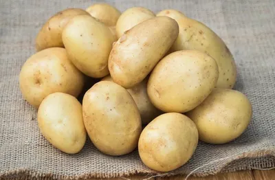Суперранние сорта картофеля: виды и сорта - Agro-Market24