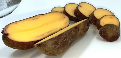 Семенной картофель Улыбка (Blue Belle), Англия купить - Компания ФОРСАГРО
