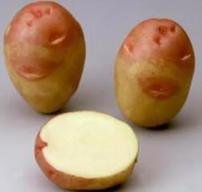 ИВАН ДА МАРЬЯ