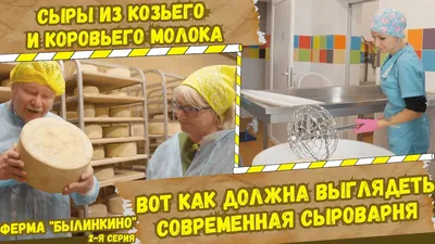 Картофель сортовой: Киранда, Лабелла, Щедрик, Ажур и др., Харьков, продажа  Картофель сортовой: Киранда, Лабелла, Щедрик, Ажур и др., Харьков, продам  Сельскохозяйственная продукция Харьков на ВсеСделки - доска объявлений  Харьков - 1084215