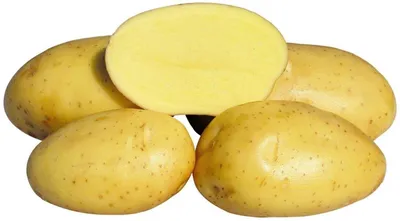 Новинка сорт картофеля Люсинда. - YouTube