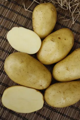 Картофель семенной 2кг сорт Колетте купить с доставкой в МЕГАСТРОЙ Ульяновск