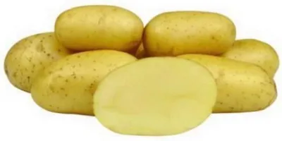 Колетте семенной картофель на весну 2024 Новосибирск