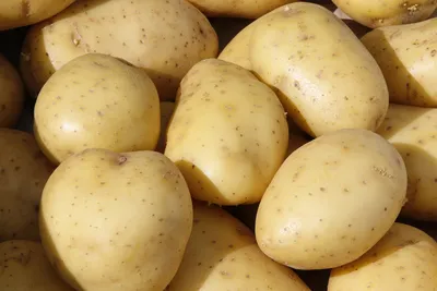 Картофель семенной купить недорого в магазине в Астрахани, цена 2024