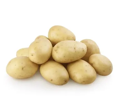 Продам семенной картофель Колетте, купить семенной картофель Колетте,  Чувашская Республика — Agro-Russia