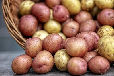 Картофель купить в Ростовской области | 65870
