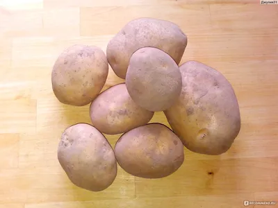 Семенной картофель Королева Анна, I-я репродукция: продажа, цена в  Винницкой области. Семена и рассада овощных культур от \"Картопля Поділля\" -  1492230388