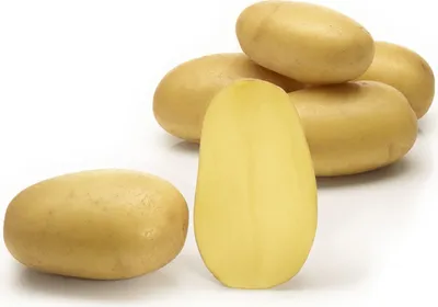 Продажа - Картофель Королева Анна Раннеспелый