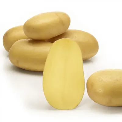 Семенной картофель Королева Анна, I-я репродукция (ID#1492230388), цена:  35.70 ₴, купить на Prom.ua