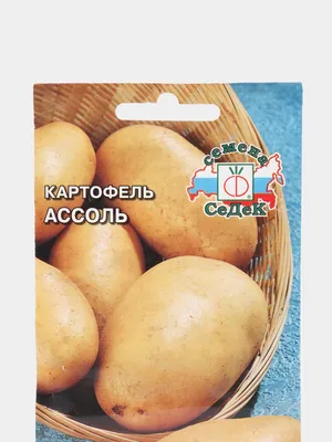 Полевая демонстрация сортов картофеля