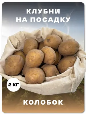 ≡ Картофель красный для магазинов ⇒ пищевых производств ⇒ отелей ⇒  ресторанов ⇒ недорого в компании ТД «Опт-Торг Horeca»