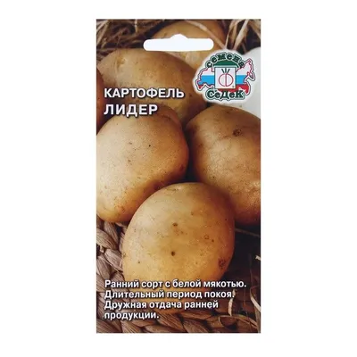 Огурец Кураж F1 5шт /Беларусь/ МД 2024 (ID#168688686), цена: 2 руб., купить  на Deal.by