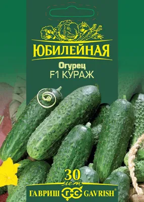 Российский картофель: тенденции и реалии – тема научной статьи по сельскому  хозяйству, лесному хозяйству, рыбному хозяйству читайте бесплатно текст  научно-исследовательской работы в электронной библиотеке КиберЛенинка