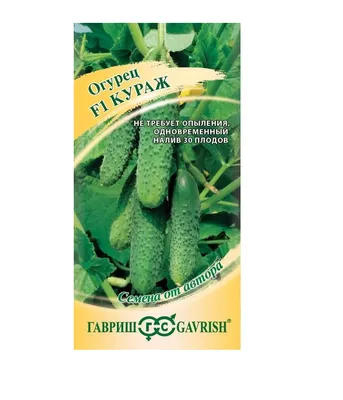 ✓ Семена Огурец Кураж F1, 25шт, Гавриш, серия Юбилейная по цене 138 руб. ◈  Большой выбор ◈ Купить по всей России ✓ Интернет-магазин Гавриш ☎  8-495-902-77-18