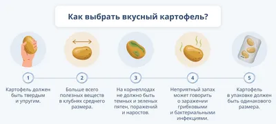 Семена огурец Гавриш Кураж F1 1 уп. - купить в Москве, цены на Мегамаркет