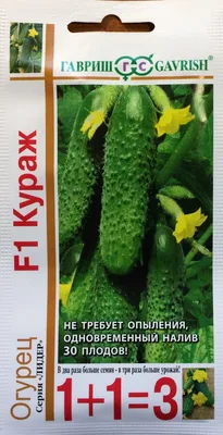 Огурцы кураж - Продукты Звенигород | Бесценные дары