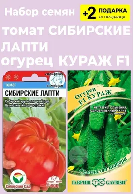 Картофельные лапти с салом. Оригинально, сытно, вкусно. Приготовить проще,  чем кажется. | Всегда в теме | Дзен