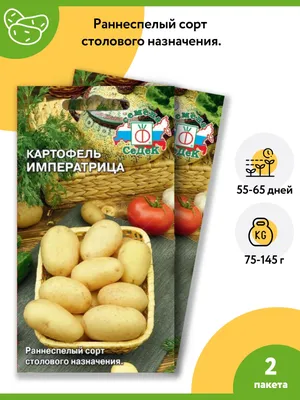 Семена Картофеля Латона – купить в интернет-магазине OZON по низкой цене