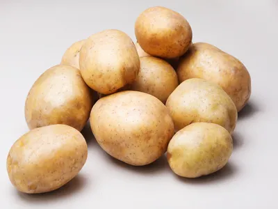 Картофель семенной семена купить | Интернет магазин семян овощей  «Агросемфонд»