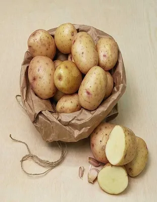 Картофель семенной, клубни на посадку 2 кг Пчелка Садовод 149389000 купить  в интернет-магазине Wildberries