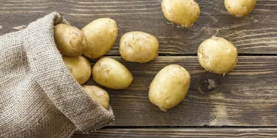 Репродукция картофеля: как выбрать посадочный материал и получать отличные  урожаи с минимальными усилиями