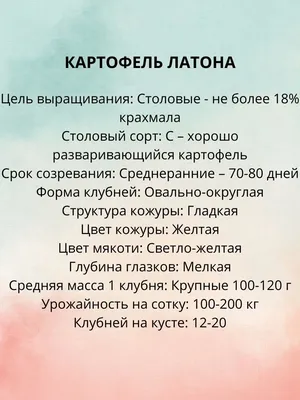 Фото к объявлению: продам товарну картоплю бела роса. словянк. латона  приблизно 20 тон по 3грн — Agro-Ukraine