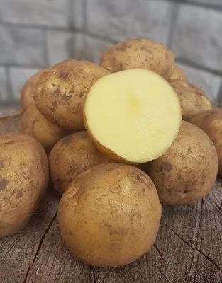 Картофель Коломба элита 2 кг Картофель семенной в Ульяновске