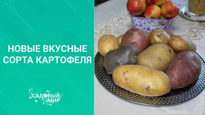 BB.lv: Продаются на Рижском рынке: Лаура, Винета, Адретта...