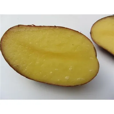 Картофель посадочный поздний сорт Лаура в сетке 5 кг. Купить недорого.  Посадка картофеля. Урожайный картофель