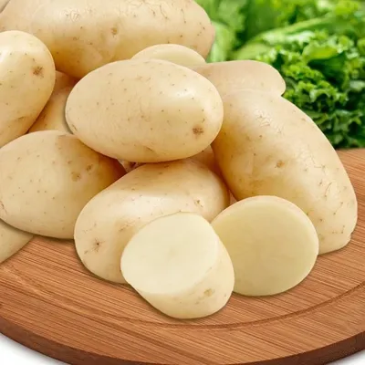 Картофель Королева Анна: отзывы, описание сорта, характеристика, фото,  вкусовые качества