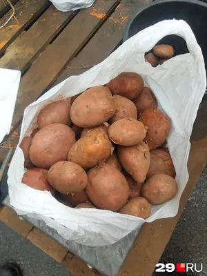 Семеннной Картофель Мечта купить в Москве и РФ. Описание сорта. Пункты  самовывоза. Почтой (наложенный платеж). Доставка курьером по МО.