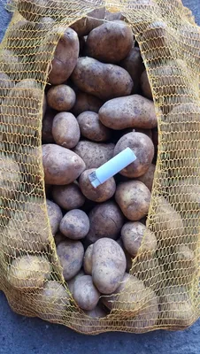 Продам хороший картофель ЛАУРА, Гала, Винета, Мелоди, Марабель
