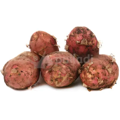Картофель молодой